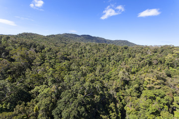 Fototapeta na wymiar Australia Kuranda Forest Park