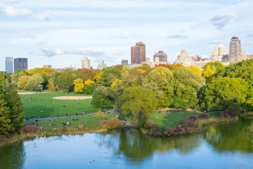Fototapeta na wymiar Oval lawn in Central park
