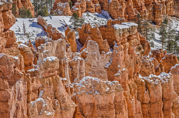 Hoodoos After a Snowfall
