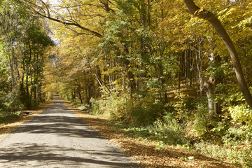Obraz premium Autumn Foliage in Vermont, USA