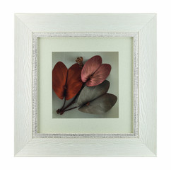 White wood frame with flower isolated white background.