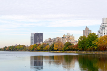 Fototapeta na wymiar Cloudy day in autumn in Central Park