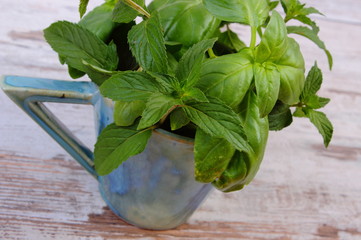 Bunch of fresh mint and basil in cup on old wooden white table
