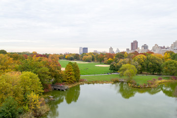 Fototapeta premium Duży trawnik w pochmurny poranek