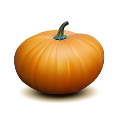 Orange realistic pumpkin