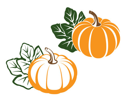 Pumpkins with leaves. 