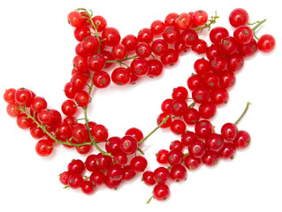 Ripe red currant on a white background