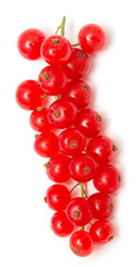 Ripe red currant on a white background