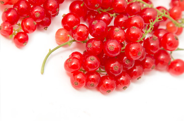 Ripe red currant on a white background