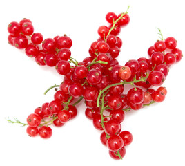 Ripe red currant on a white background