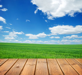 Obraz premium field under blue sky. Wood planks floor