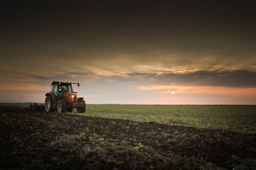 Tractor plowing a field