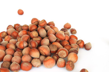 Hazelnuts isolated