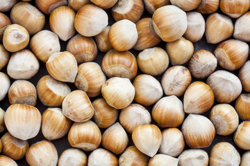 Nuts, hazelnuts as background. Healthy eating vegetarian nut food brown hazelnut.