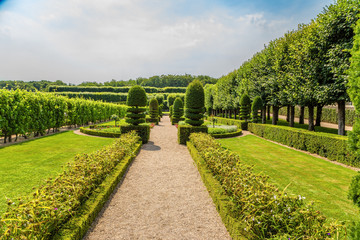 Fototapeta na wymiar Alley with clipped trees and shrubs in the gardens of the Villandry castle, France