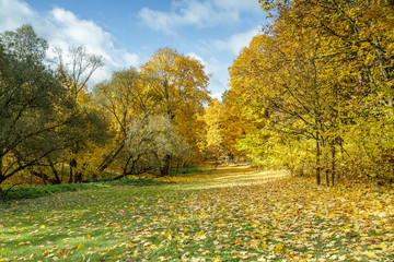 When it comes to autumn