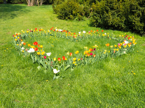 Blumenbeet mit Tulpen in Herzform