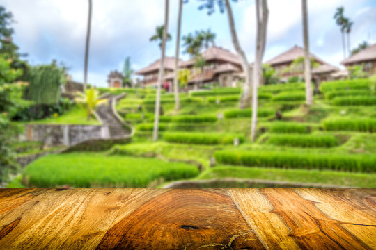 wooden front with balinese blurred jungle background, blurred rice fields and wooden bungalows, sisu wood
