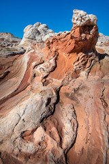 White Pocker, Arizona