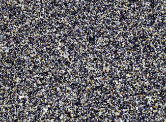 Mussel Beach, many crushed seashells