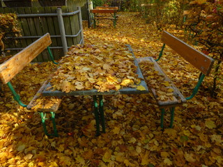 Biergarten. End of the season abandoned benches covered with autumn leaves