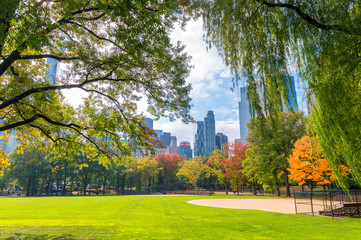 Buildings and foliage in Central Park, Manhattan - obrazy, fototapety, plakaty