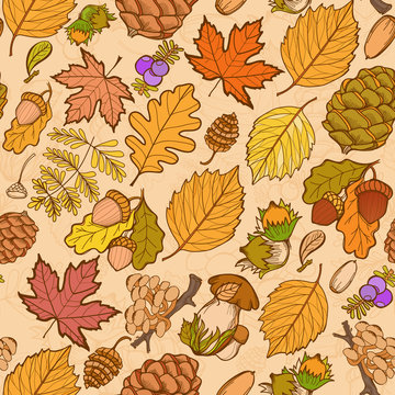Seamless color wild elements of nature, mushrooms, buds, plants, acorns, leaves. Vector drawing autumnal theme.