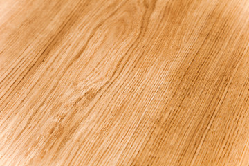 Wood background texture parquet laminate