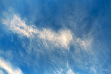 photo white clouds