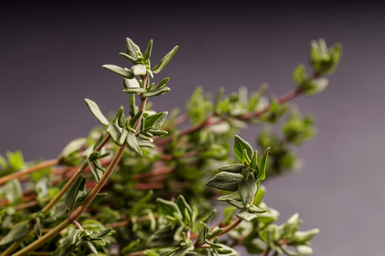 bunch of Thyme