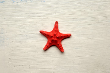 Fototapeta na wymiar Starfish 