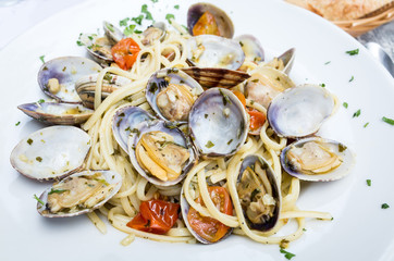 Pasta with Clam Dinner Dish on a the table