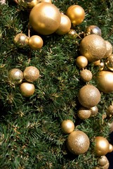 Obraz na płótnie Canvas Golden christmas decoration at green branches