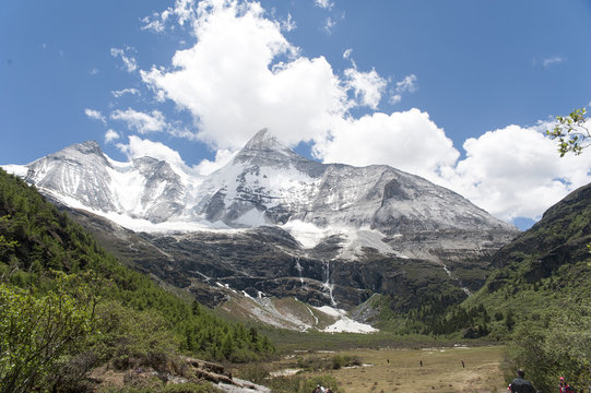 Tibet snow mountain with Grassland