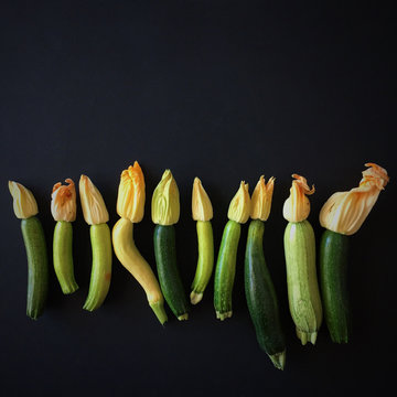 Freshly picked zucchini arranged in a row