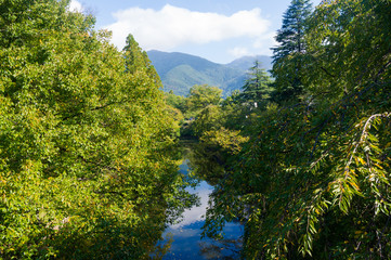 Fototapeta na wymiar Country Rivers of Japan.It was surrounded by a green tree 