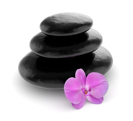 Pink orchid and zen stones isolated