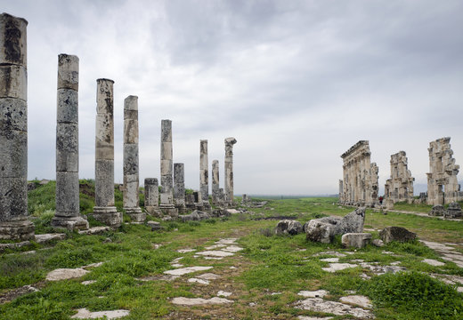 Ruins of ancient roman colonnade, Hama, Syria