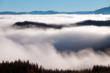 The sea of fog with forests as foreground