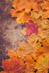 Bright autumn leaves  on a shabby chic background