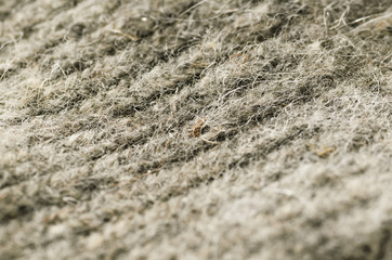 wool fabric macro