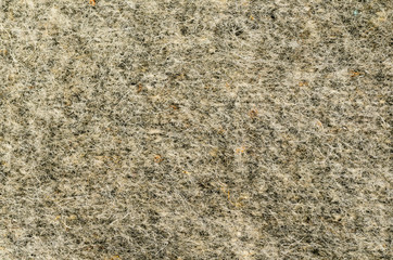 wool fabric macro