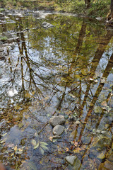Reflection on river 1