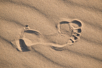 Fototapeta na wymiar Imprint head human foot in the desert