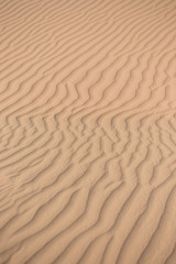 Sand dunes in the desert