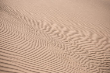 Sand dunes in the desert