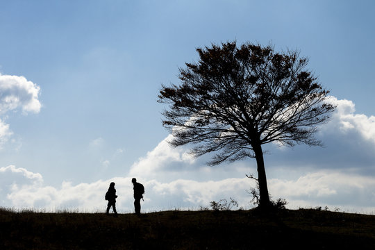 coppia di persone in silhouette sotto una grande quercia. Trekking ed escursionismo, concetto