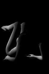 sexy nude woman black and white Art