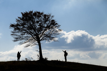 Fototapeta premium Ecosostenibilità e salvaguardia dell'ambiente: sagoma di due persone che indicano un albero sulla linea dell'orizzonte. Cielo blu con nuvole bianche sullo sfondo