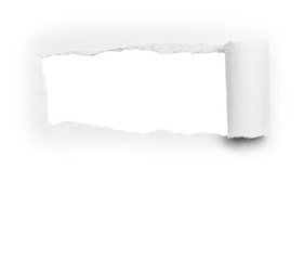 Pieces of torn hole paper on plain background. Copy space